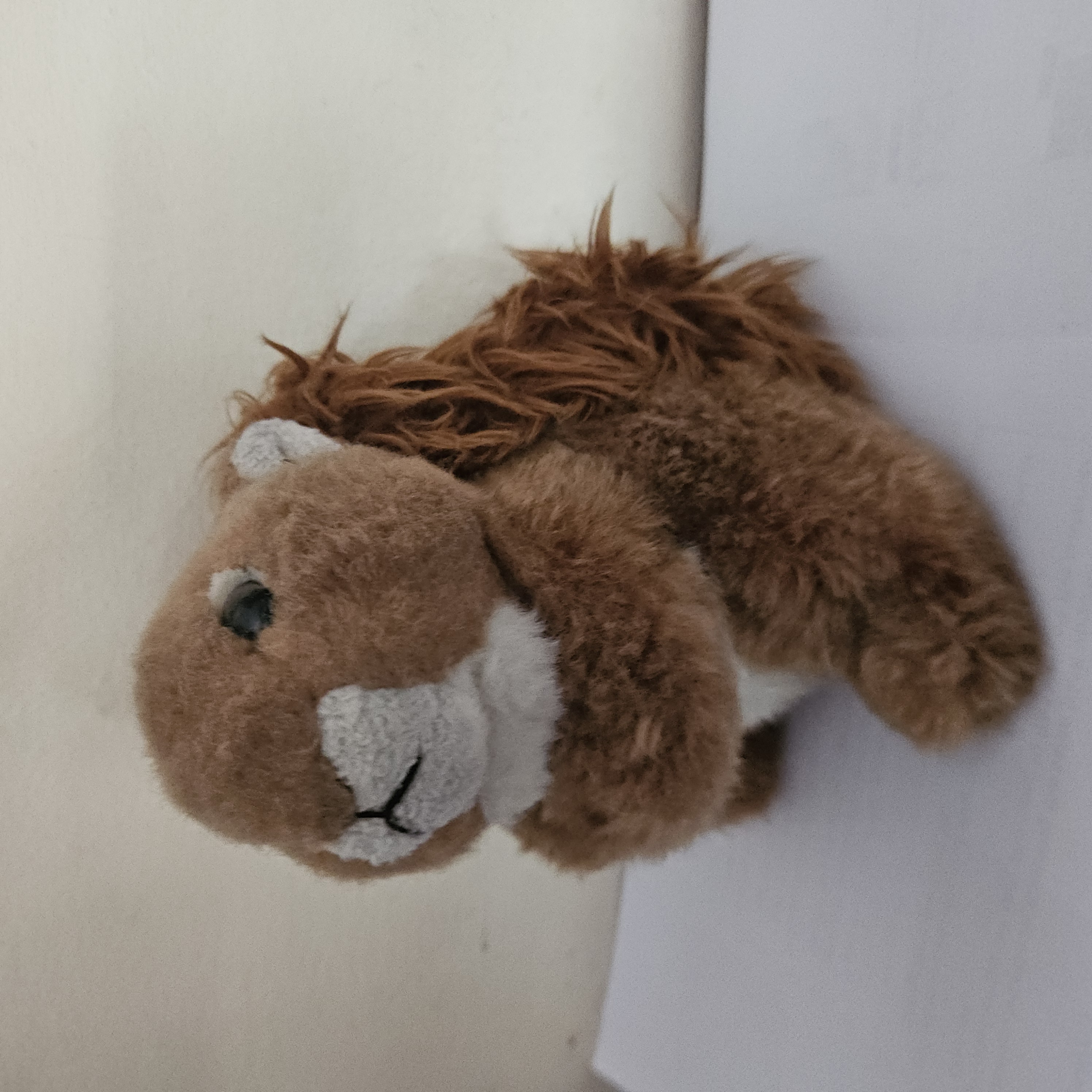 Squiggy the Squirrel