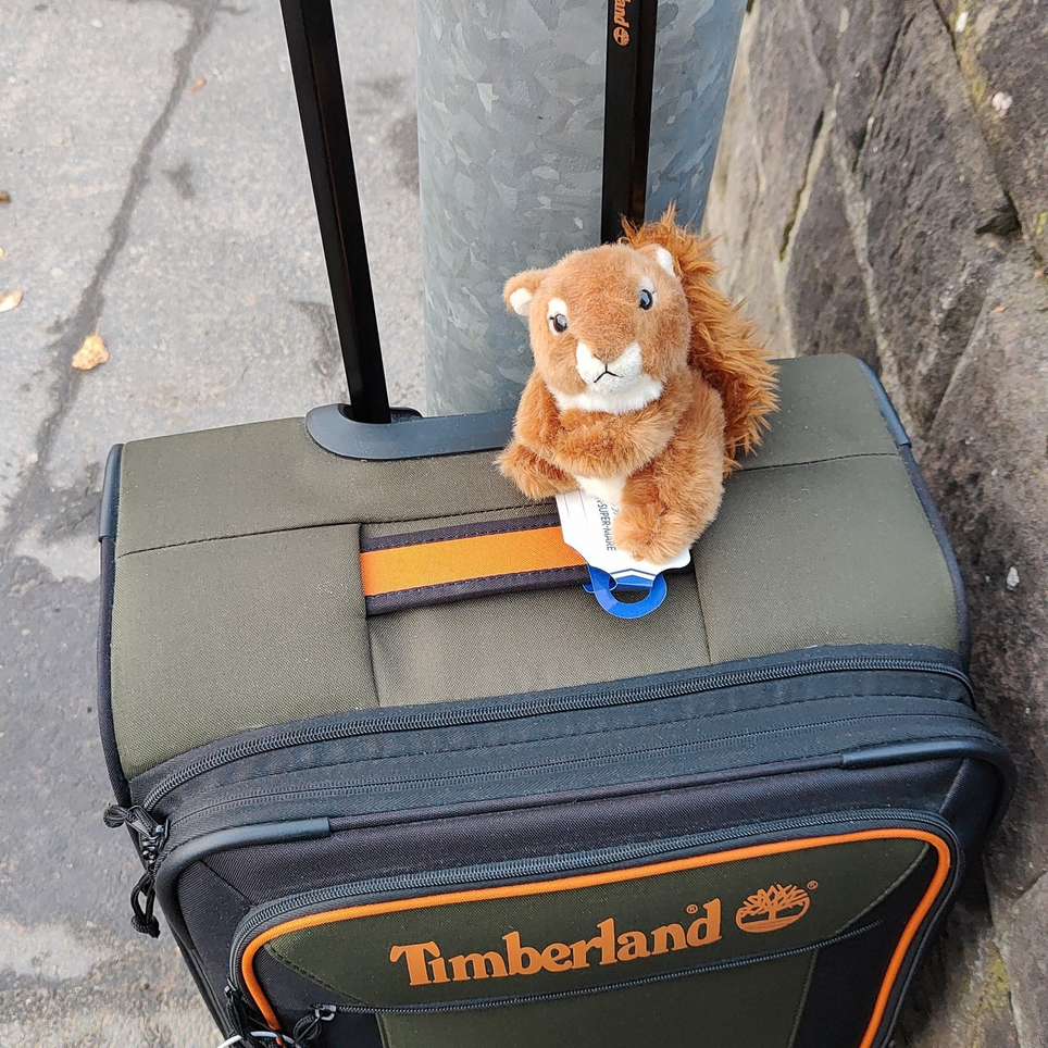 Squiggy the Squirrel and Friends Adventures