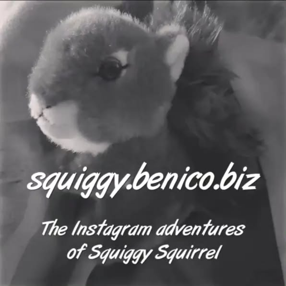 Squiggy the Squirrel and Friends Adventures